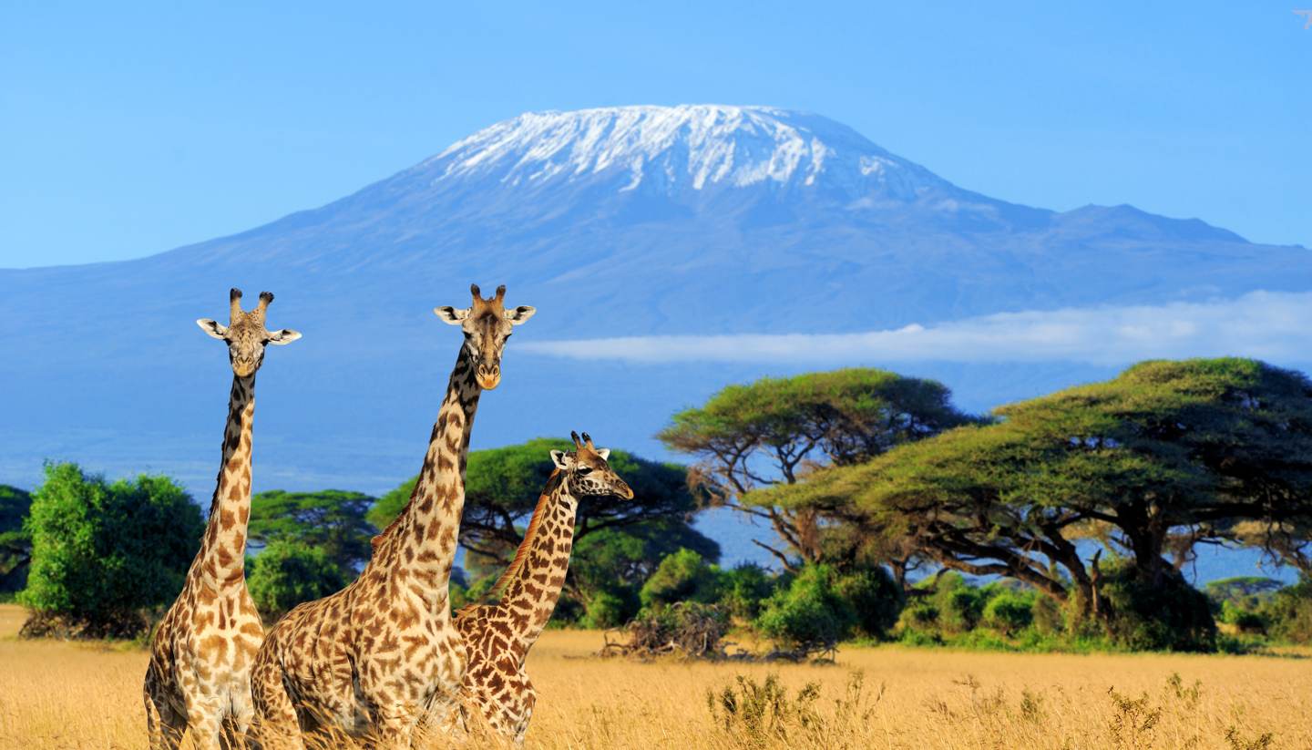 Amboseli National Park destination