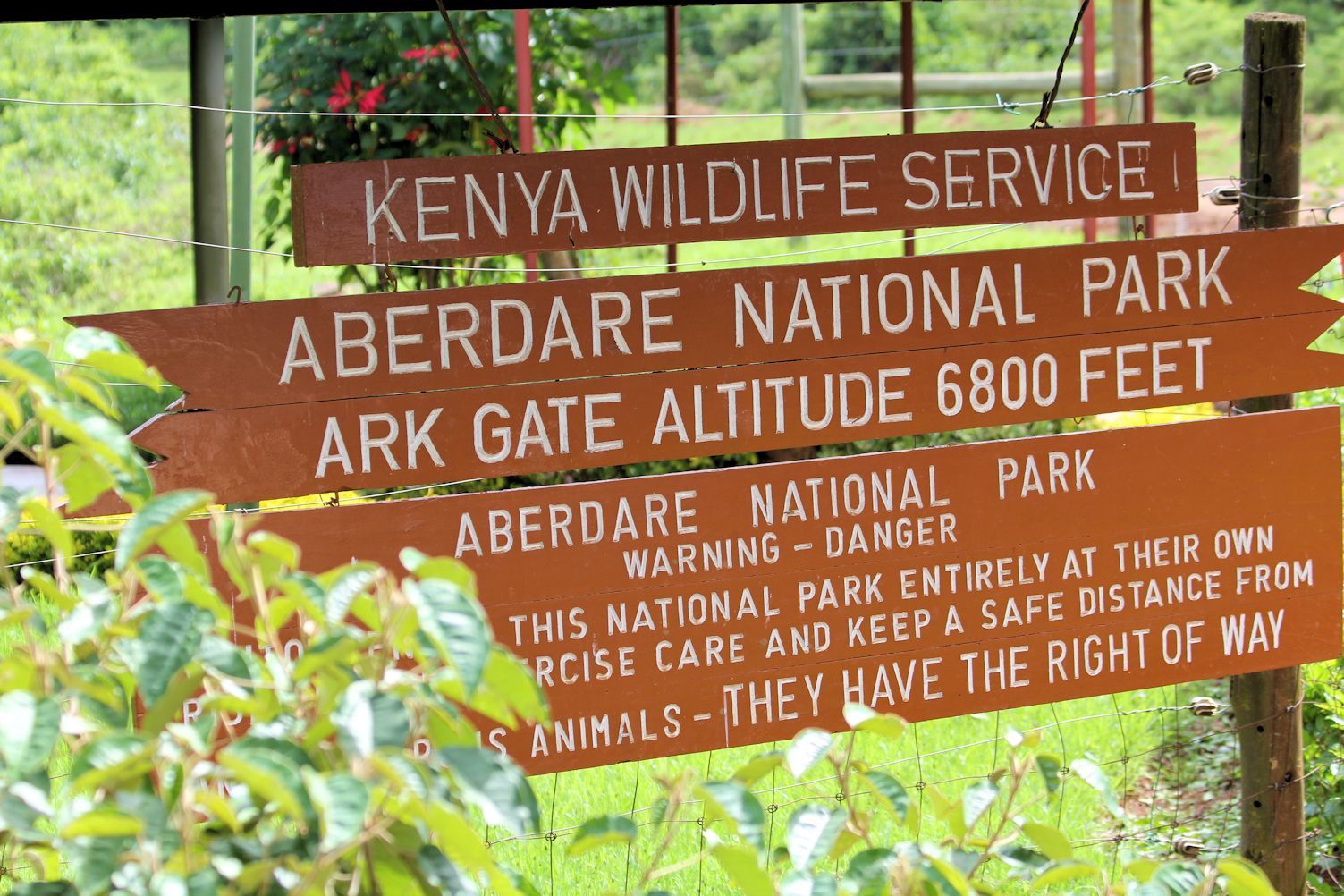 Aberdare National Park