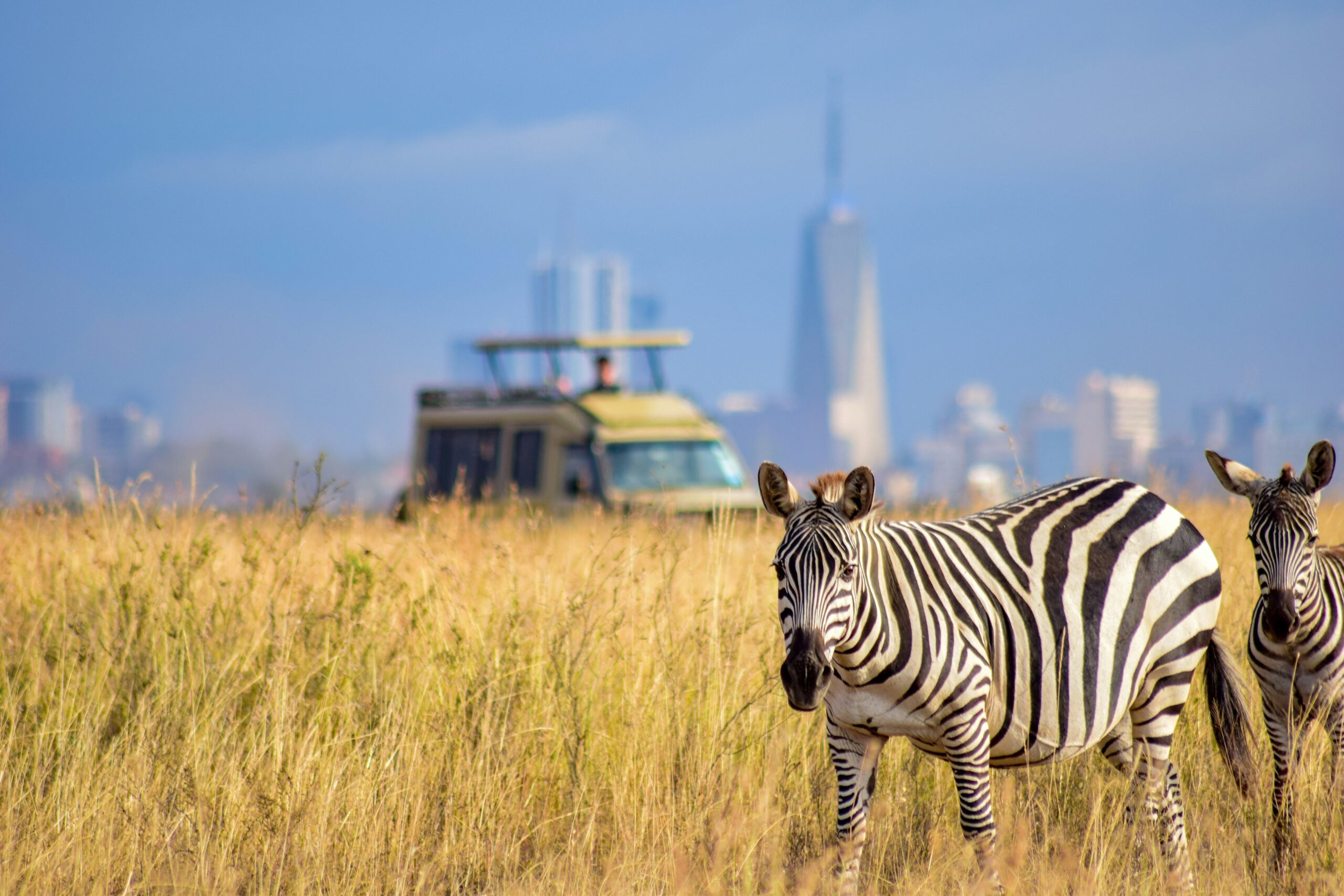 Game Drive