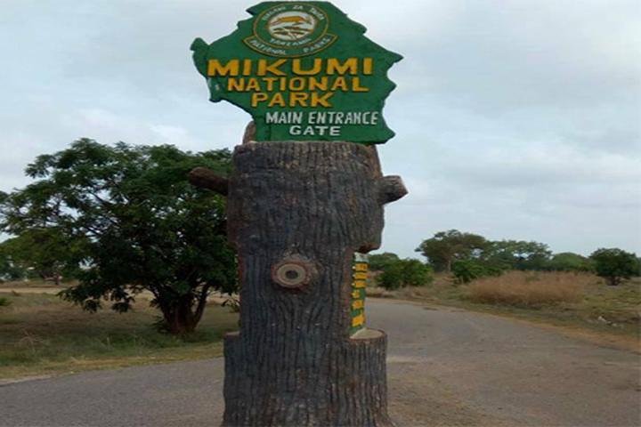 Mikumi National Park