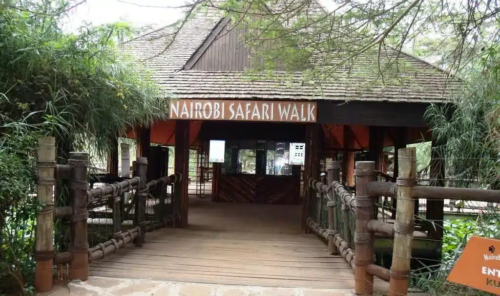 Safari Walk