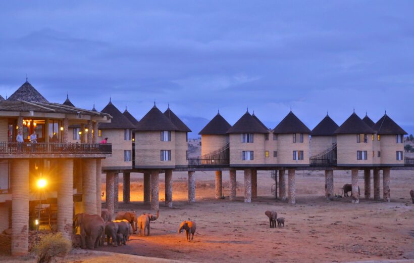 3 Days Tsavo Salt Lick Experience